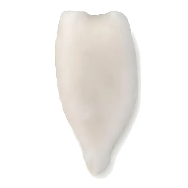 Tubo de Calamar