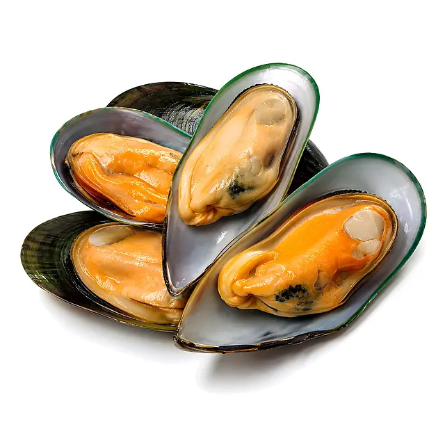 Mejillón Verde de Nueva Zelanda (Greenshell)