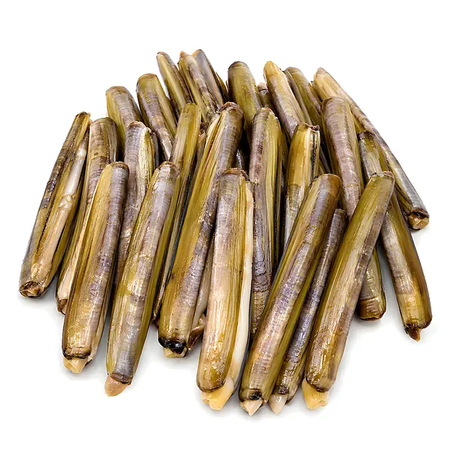 Navajas Congeladas