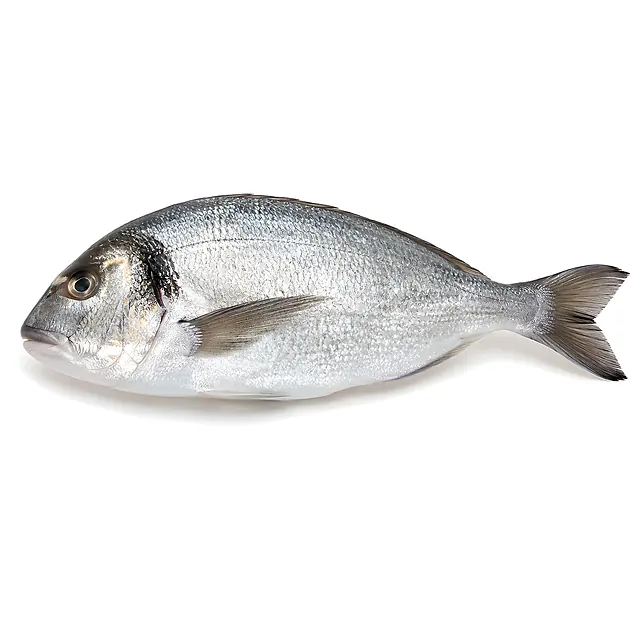 Dorada
