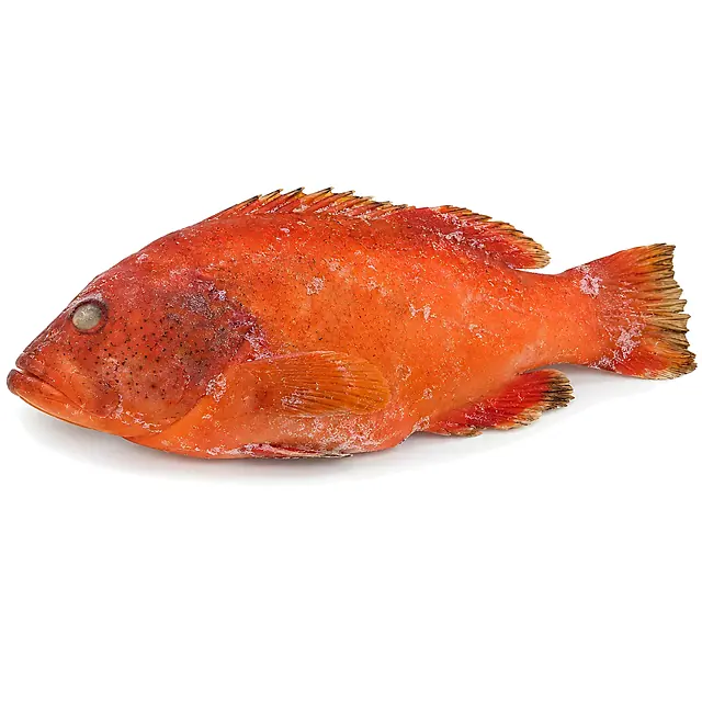 Mero Rojo / Grouper 3/4 - 1 lb